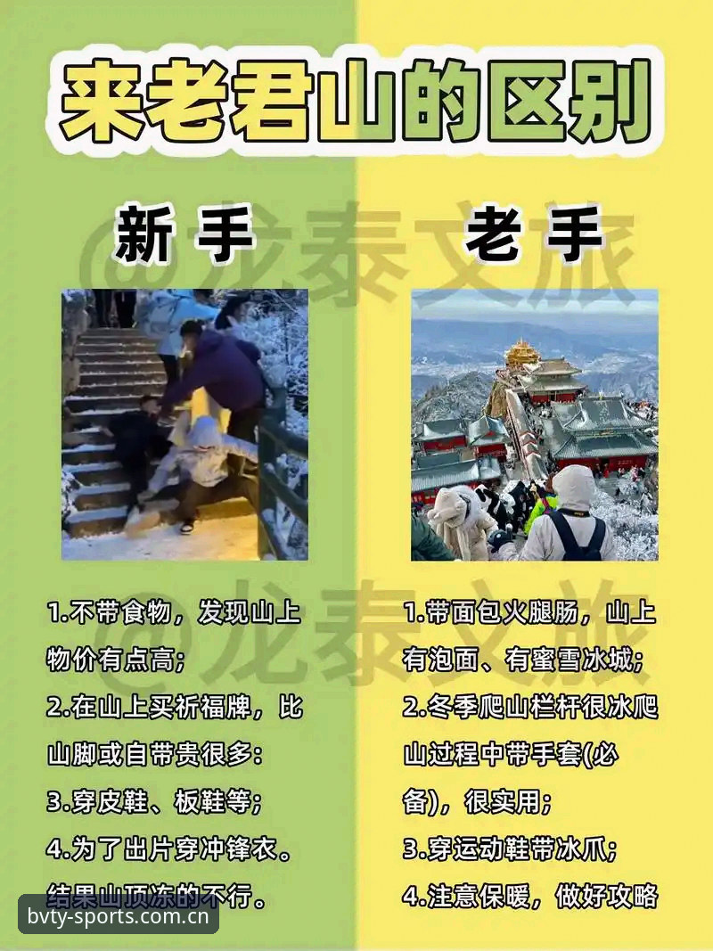 宝威体育安装教程使用技巧 宝威体育安装教程与使用技巧对比:新手vs老手的全面实战指南